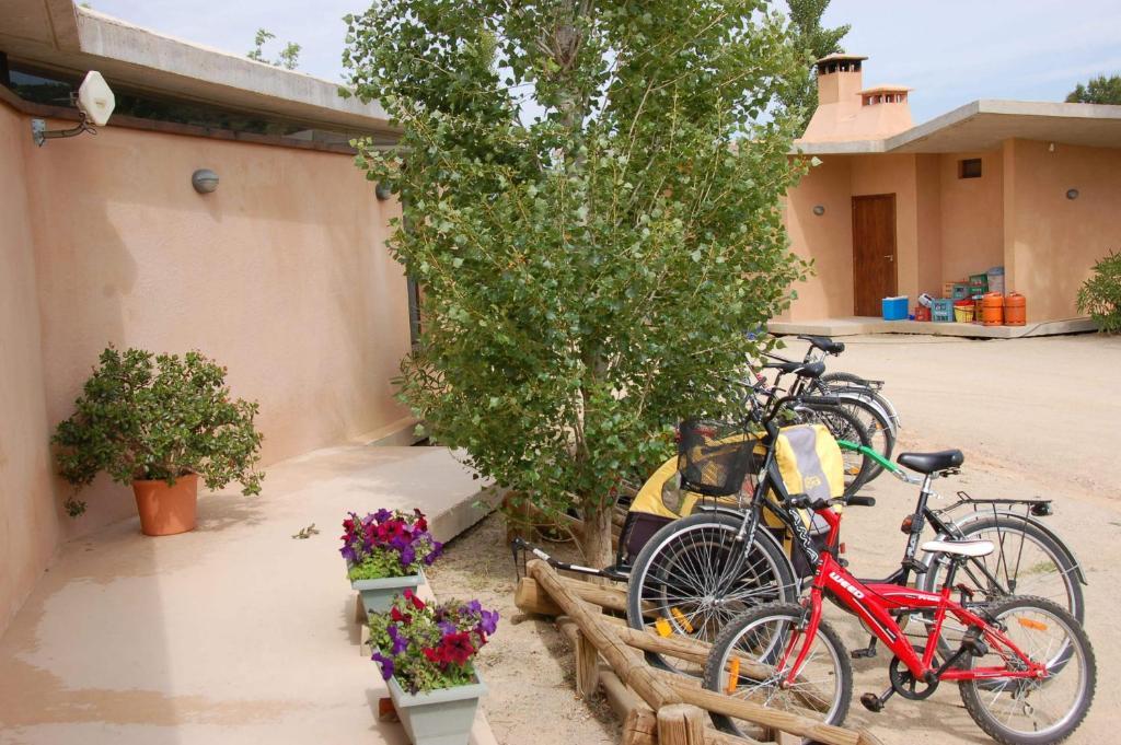 Camping Terra Alta Bot Exterior foto