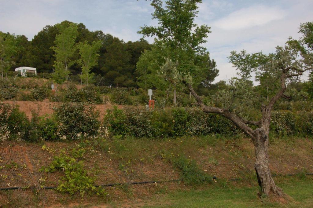 Camping Terra Alta Bot Exterior foto